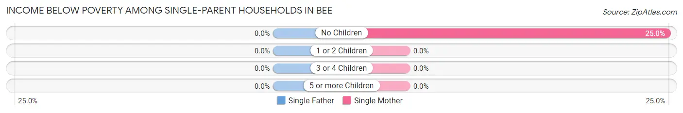 Income Below Poverty Among Single-Parent Households in Bee