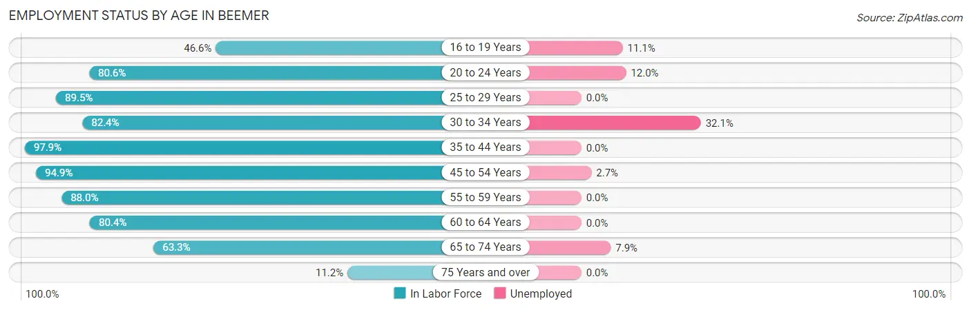 Employment Status by Age in Beemer