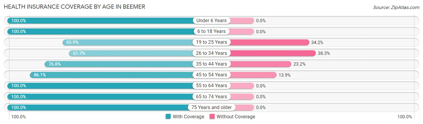 Health Insurance Coverage by Age in Beemer