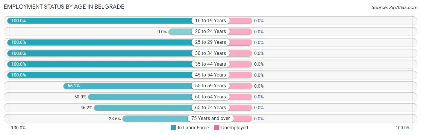 Employment Status by Age in Belgrade