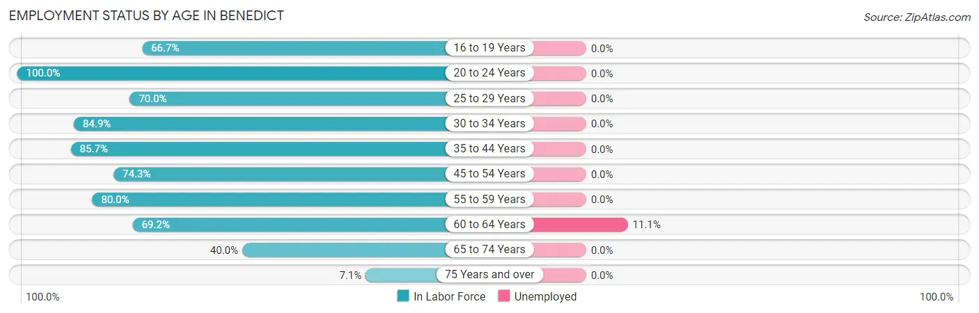 Employment Status by Age in Benedict