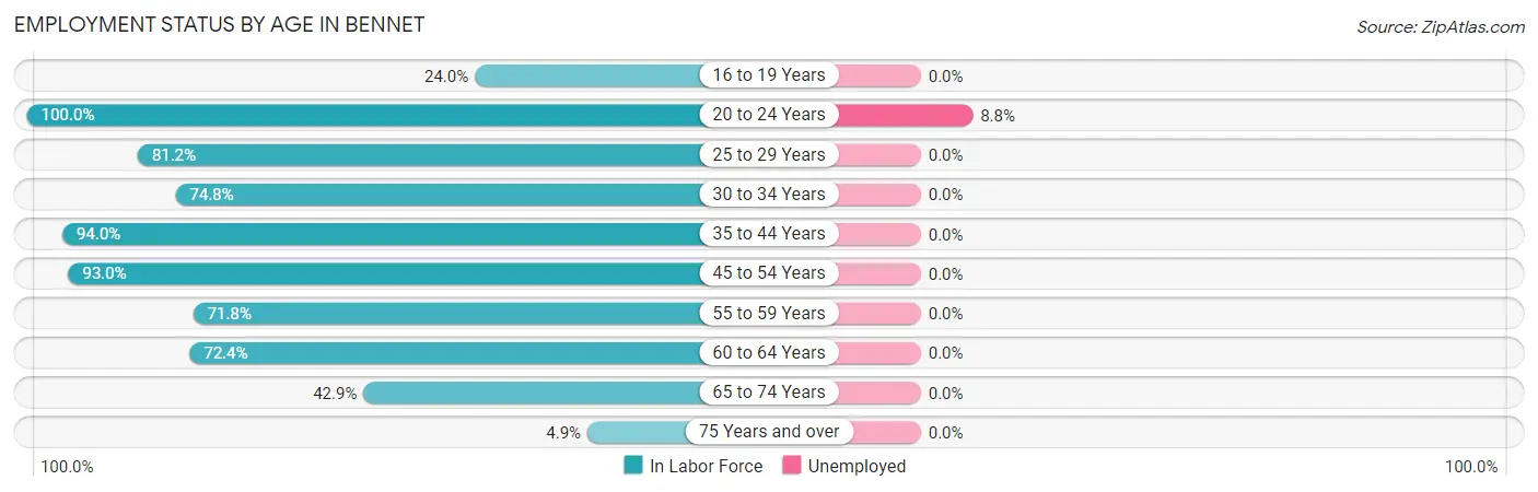 Employment Status by Age in Bennet