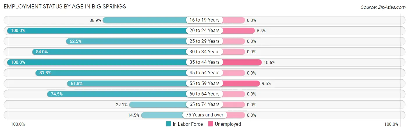 Employment Status by Age in Big Springs