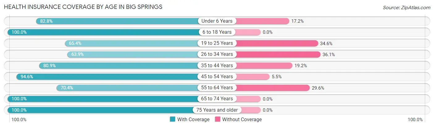 Health Insurance Coverage by Age in Big Springs