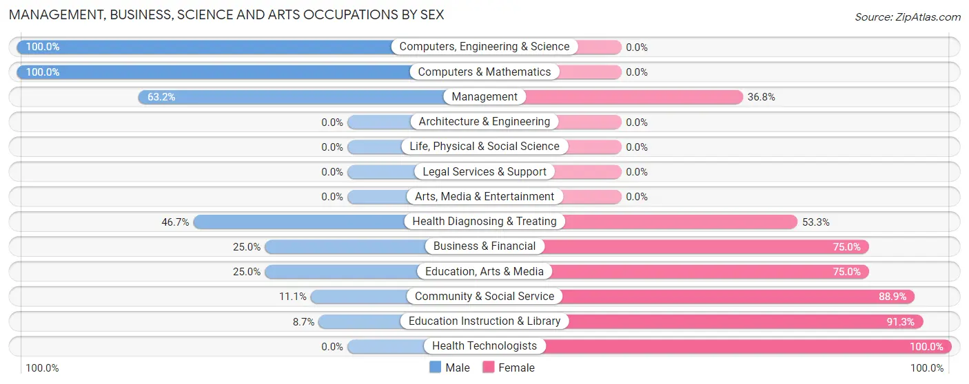 Management, Business, Science and Arts Occupations by Sex in Big Springs