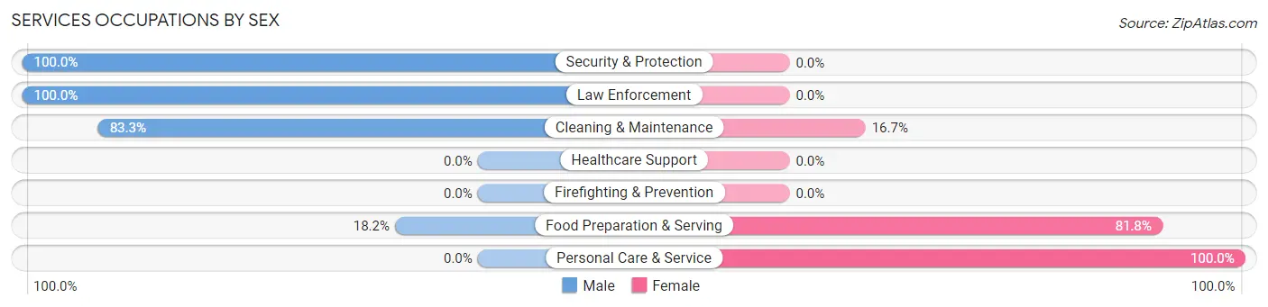 Services Occupations by Sex in Big Springs