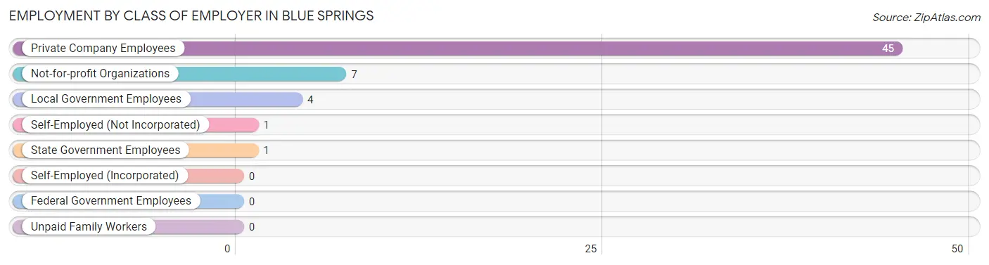 Employment by Class of Employer in Blue Springs