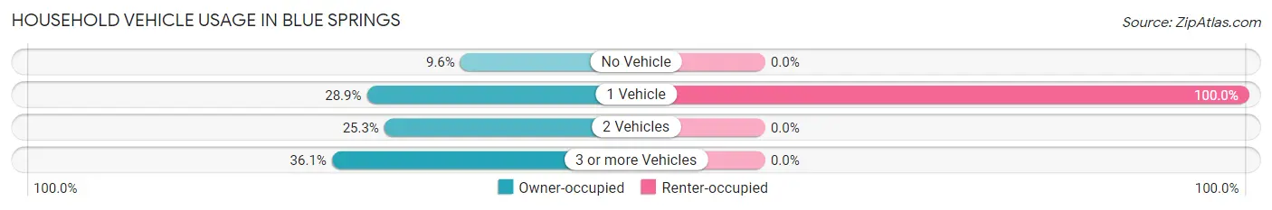 Household Vehicle Usage in Blue Springs