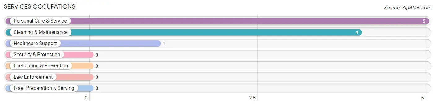 Services Occupations in Blue Springs