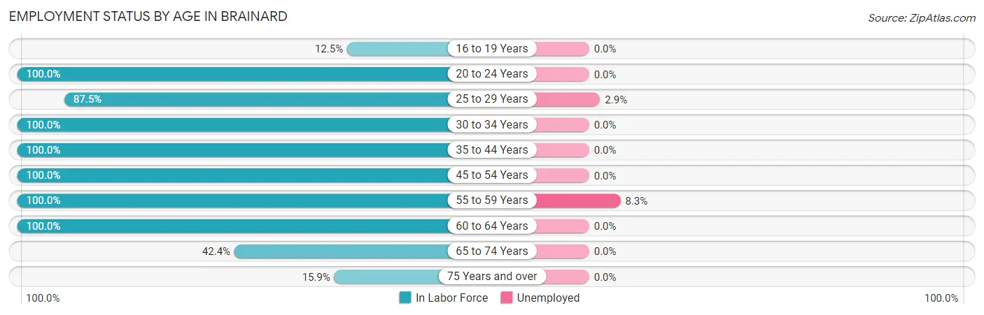 Employment Status by Age in Brainard