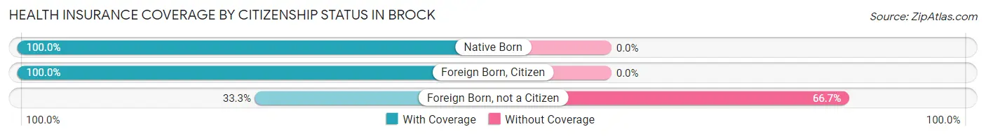 Health Insurance Coverage by Citizenship Status in Brock