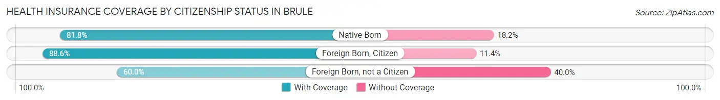 Health Insurance Coverage by Citizenship Status in Brule