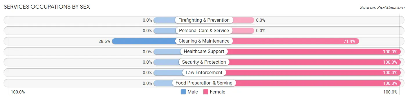 Services Occupations by Sex in Brule