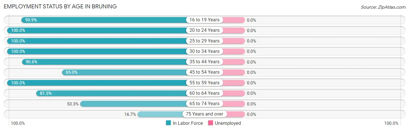 Employment Status by Age in Bruning