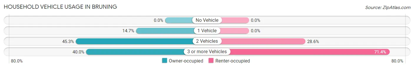 Household Vehicle Usage in Bruning