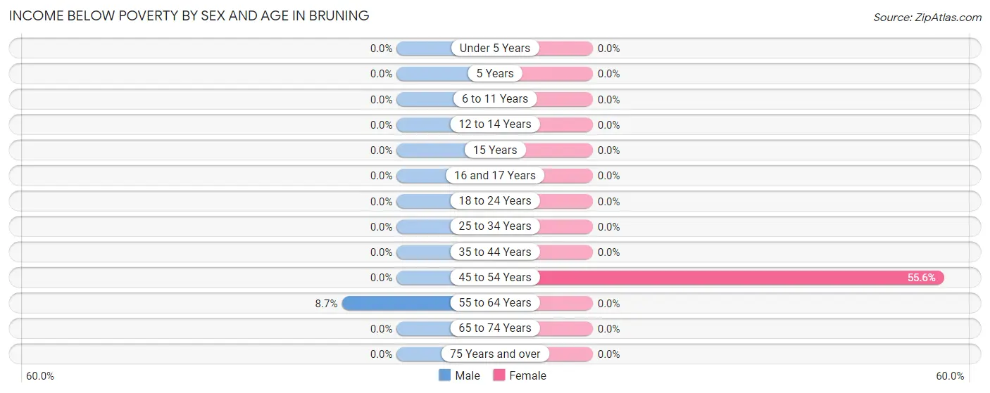 Income Below Poverty by Sex and Age in Bruning