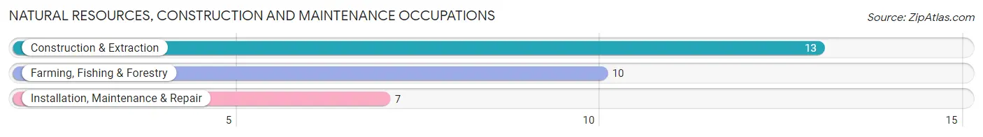 Natural Resources, Construction and Maintenance Occupations in Bruning