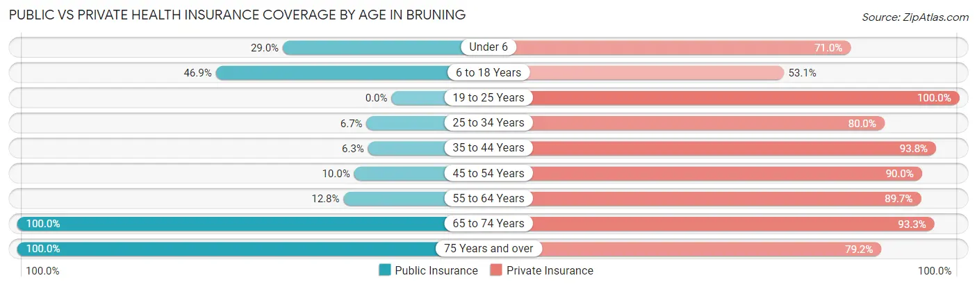 Public vs Private Health Insurance Coverage by Age in Bruning