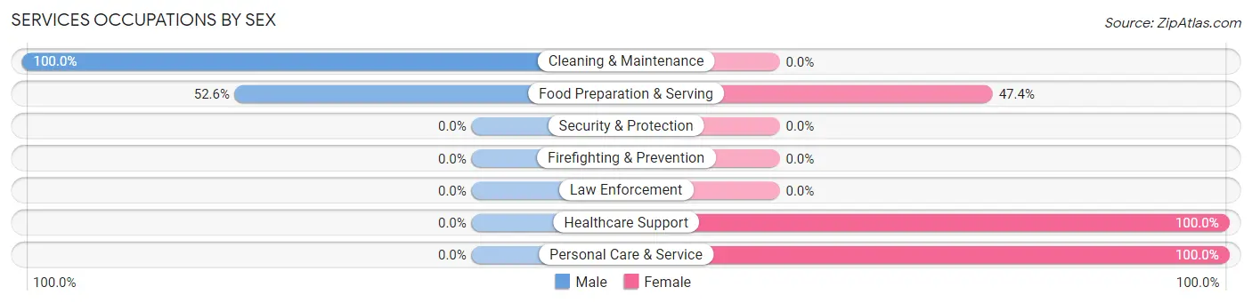 Services Occupations by Sex in Bruning