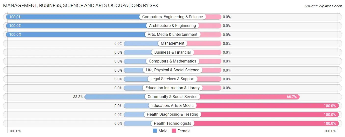 Management, Business, Science and Arts Occupations by Sex in Bruno