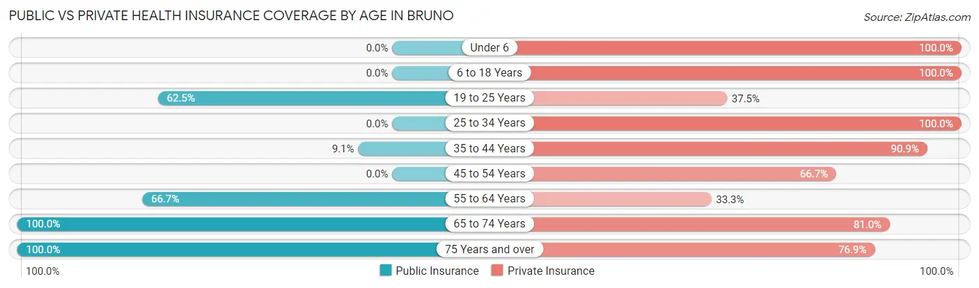 Public vs Private Health Insurance Coverage by Age in Bruno