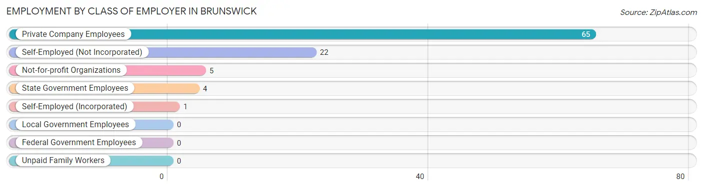 Employment by Class of Employer in Brunswick