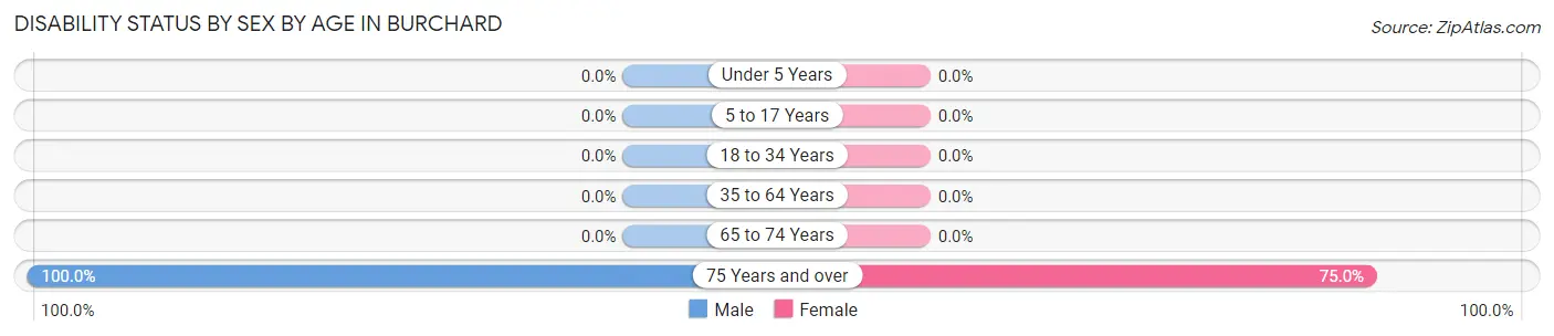 Disability Status by Sex by Age in Burchard