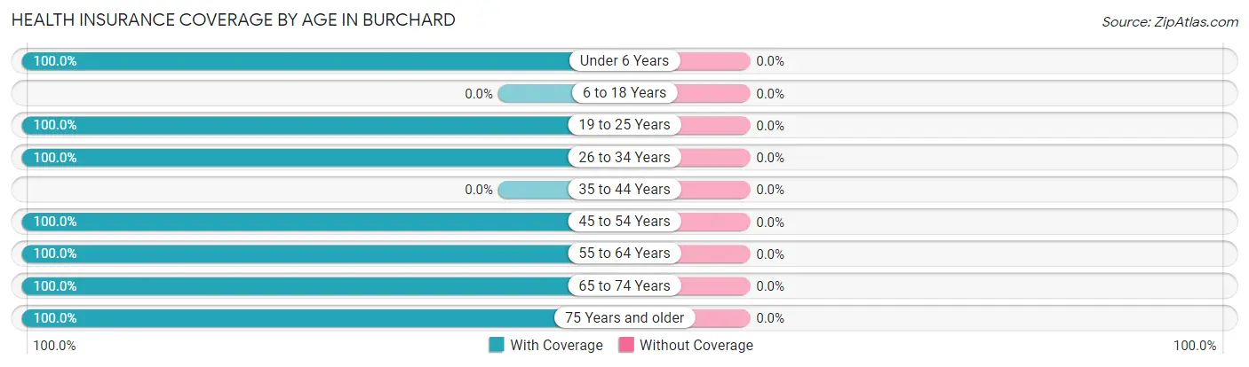 Health Insurance Coverage by Age in Burchard