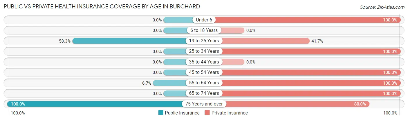 Public vs Private Health Insurance Coverage by Age in Burchard