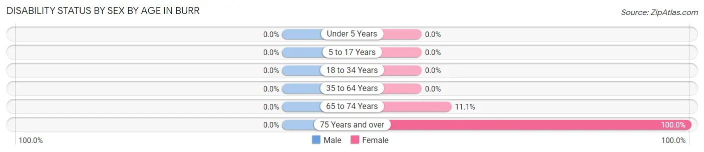 Disability Status by Sex by Age in Burr