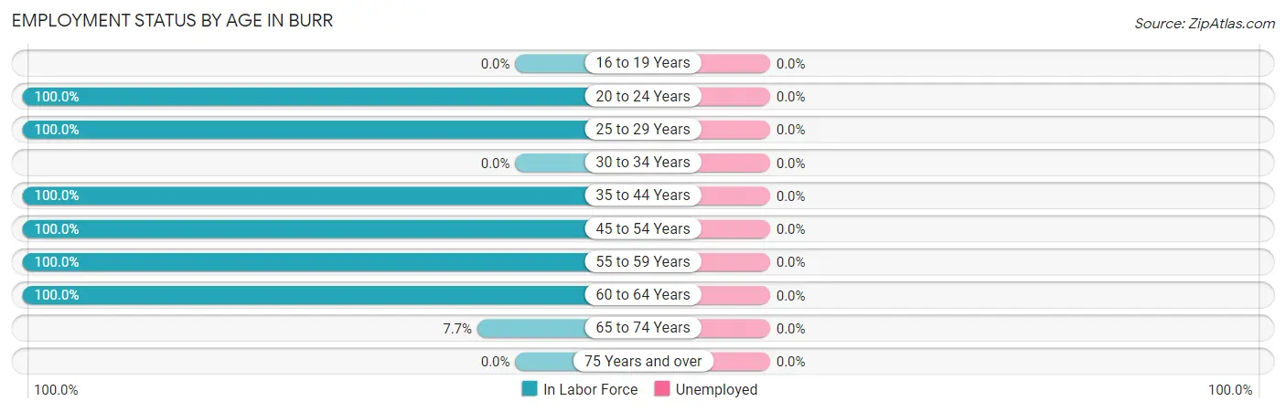 Employment Status by Age in Burr