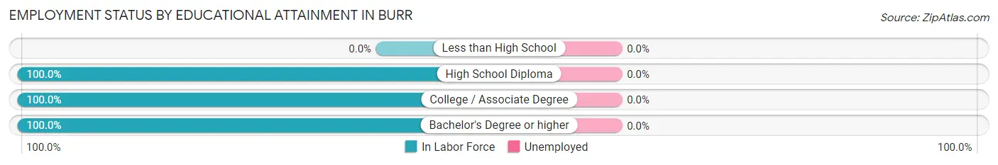 Employment Status by Educational Attainment in Burr