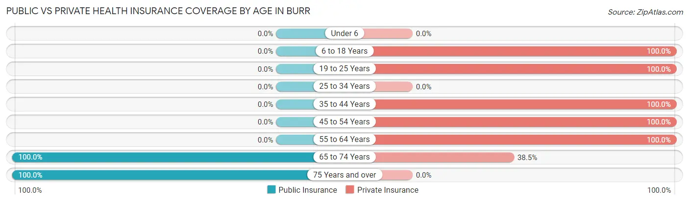 Public vs Private Health Insurance Coverage by Age in Burr