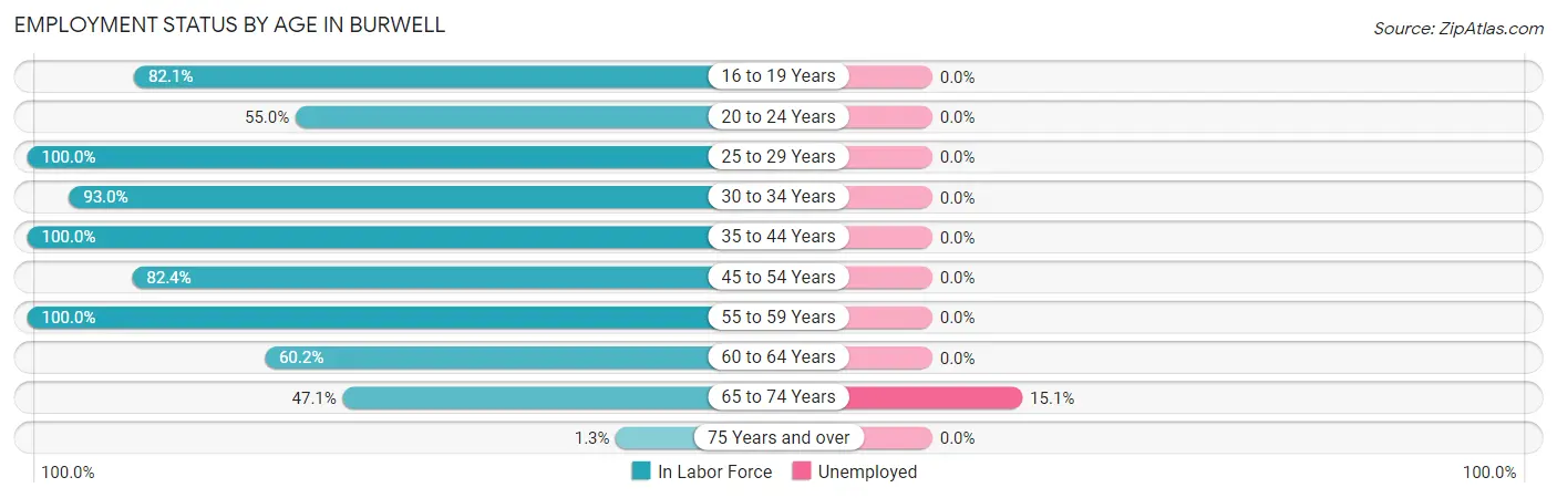 Employment Status by Age in Burwell