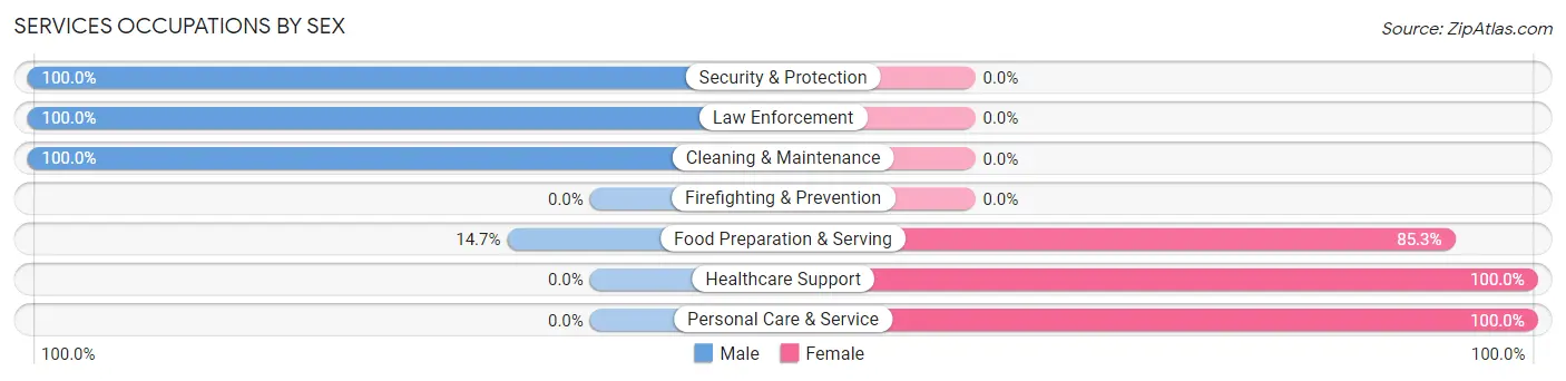 Services Occupations by Sex in Burwell
