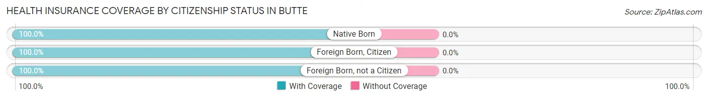 Health Insurance Coverage by Citizenship Status in Butte