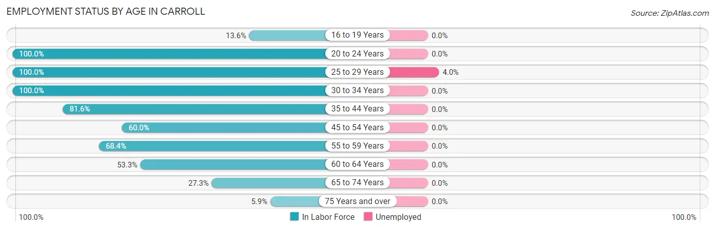 Employment Status by Age in Carroll