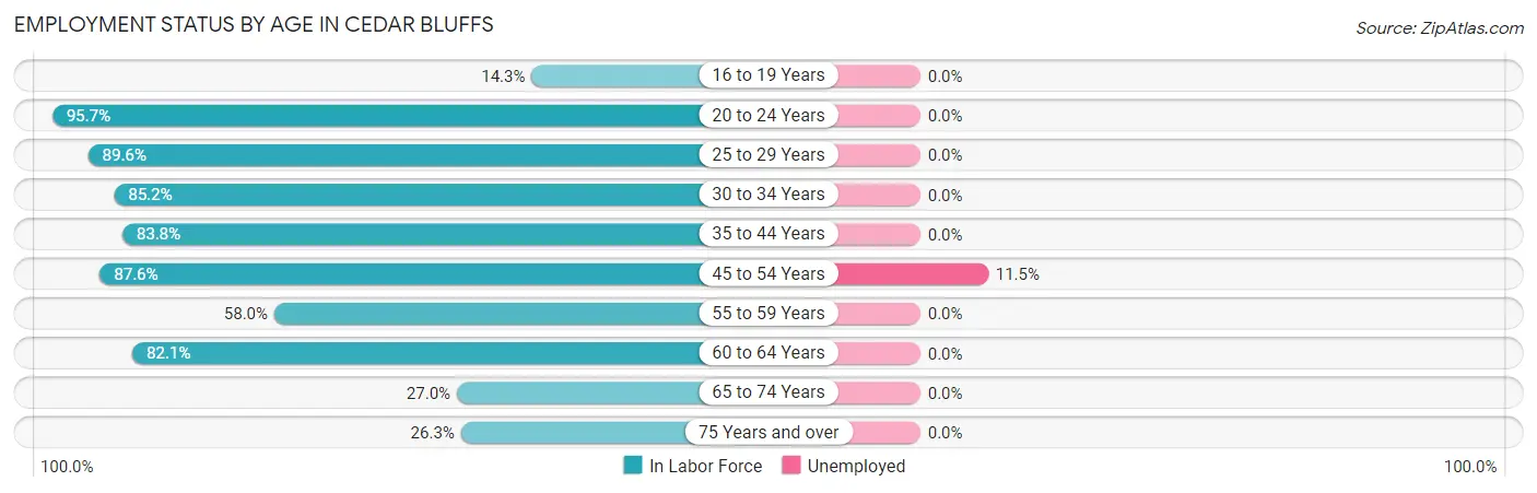 Employment Status by Age in Cedar Bluffs