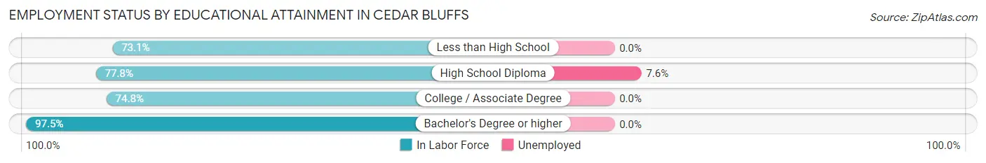Employment Status by Educational Attainment in Cedar Bluffs