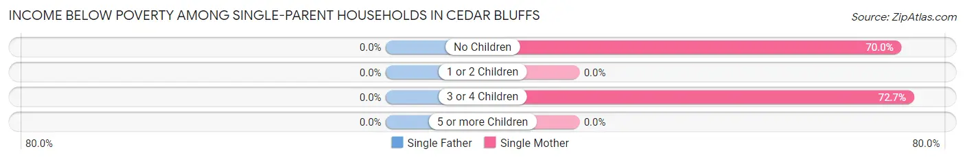 Income Below Poverty Among Single-Parent Households in Cedar Bluffs