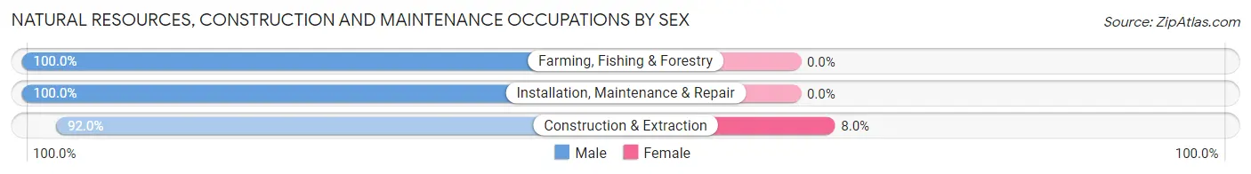 Natural Resources, Construction and Maintenance Occupations by Sex in Cedar Bluffs
