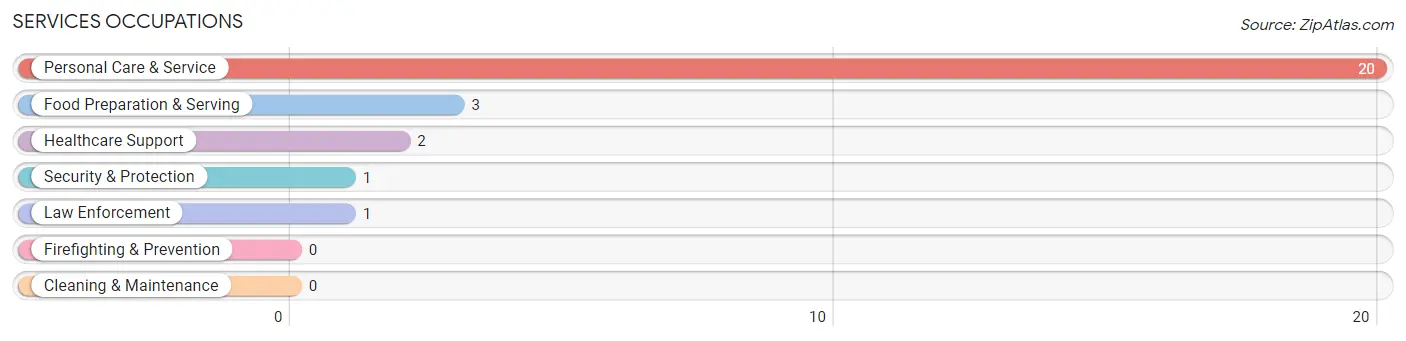 Services Occupations in Center