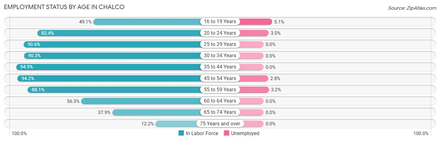 Employment Status by Age in Chalco