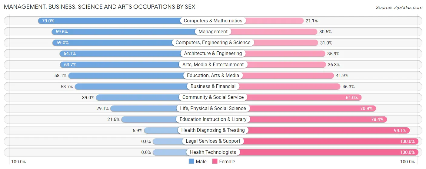 Management, Business, Science and Arts Occupations by Sex in Chalco
