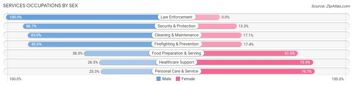 Services Occupations by Sex in Chalco