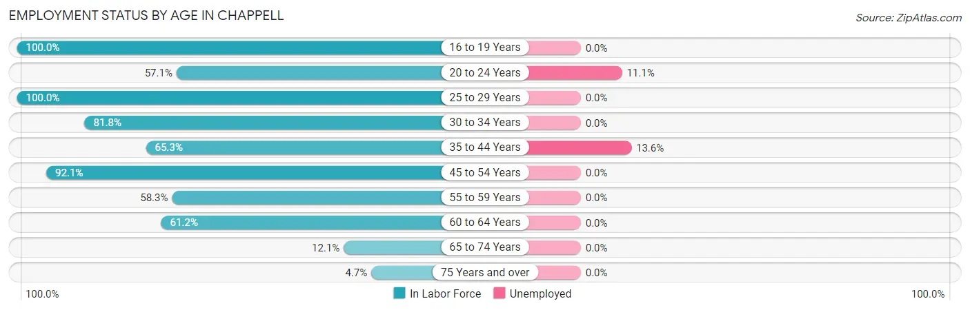 Employment Status by Age in Chappell