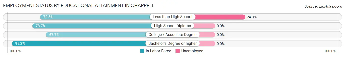 Employment Status by Educational Attainment in Chappell