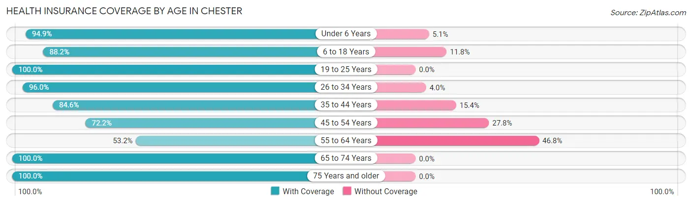 Health Insurance Coverage by Age in Chester