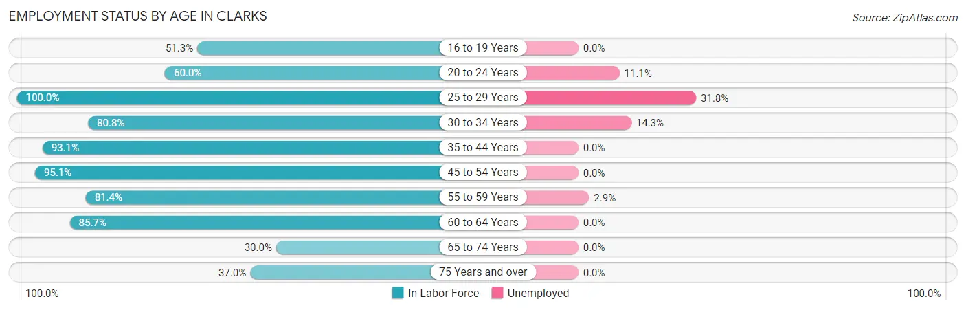 Employment Status by Age in Clarks