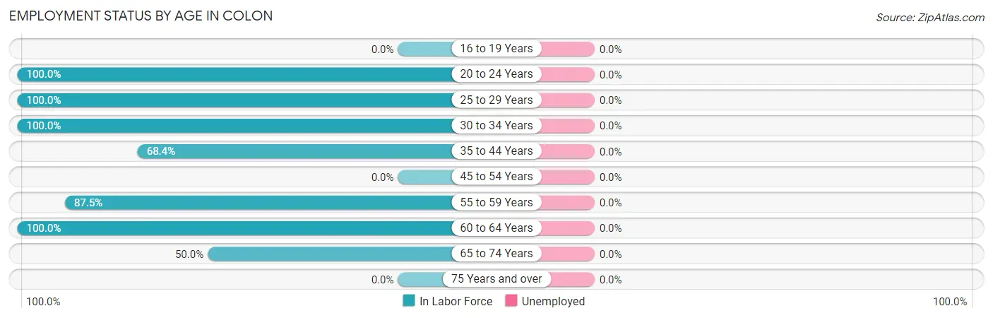 Employment Status by Age in Colon